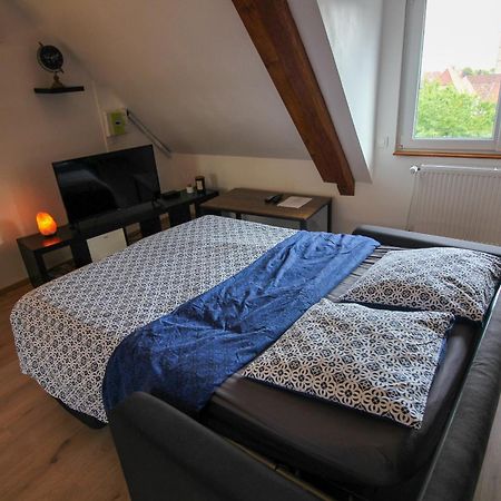 Au Toit De L'Alsace - Loft Au Pied Des Vosges Apartamento Wattwiller Exterior foto