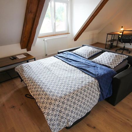 Au Toit De L'Alsace - Loft Au Pied Des Vosges Apartamento Wattwiller Exterior foto