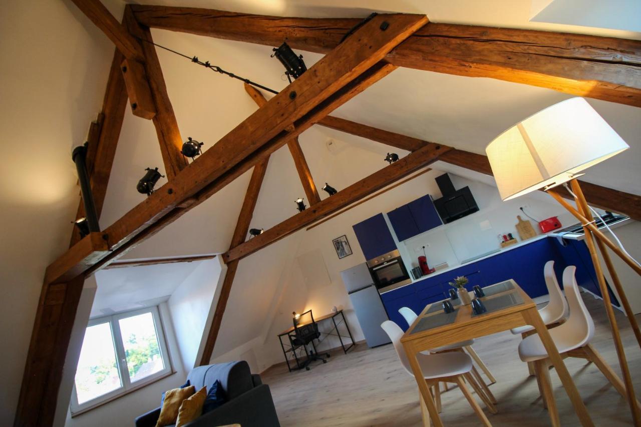 Au Toit De L'Alsace - Loft Au Pied Des Vosges Apartamento Wattwiller Exterior foto