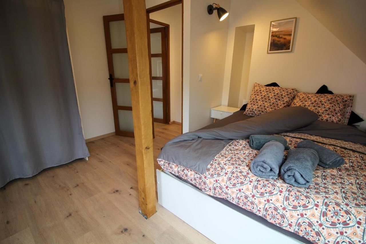 Au Toit De L'Alsace - Loft Au Pied Des Vosges Apartamento Wattwiller Exterior foto