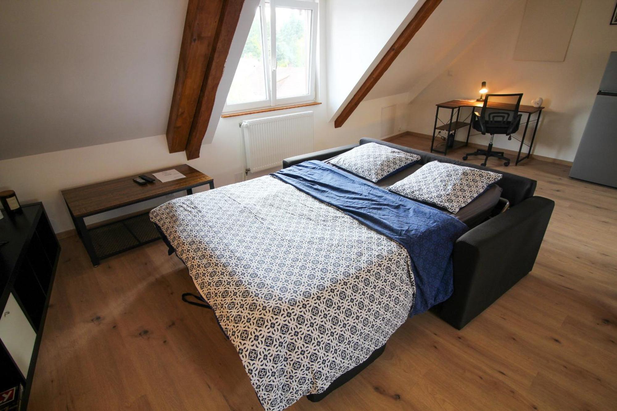 Au Toit De L'Alsace - Loft Au Pied Des Vosges Apartamento Wattwiller Exterior foto